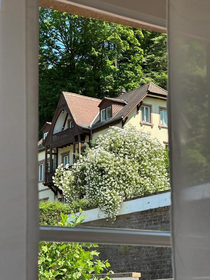 Hotel Burgfreiheit à Heidelberg Extérieur photo